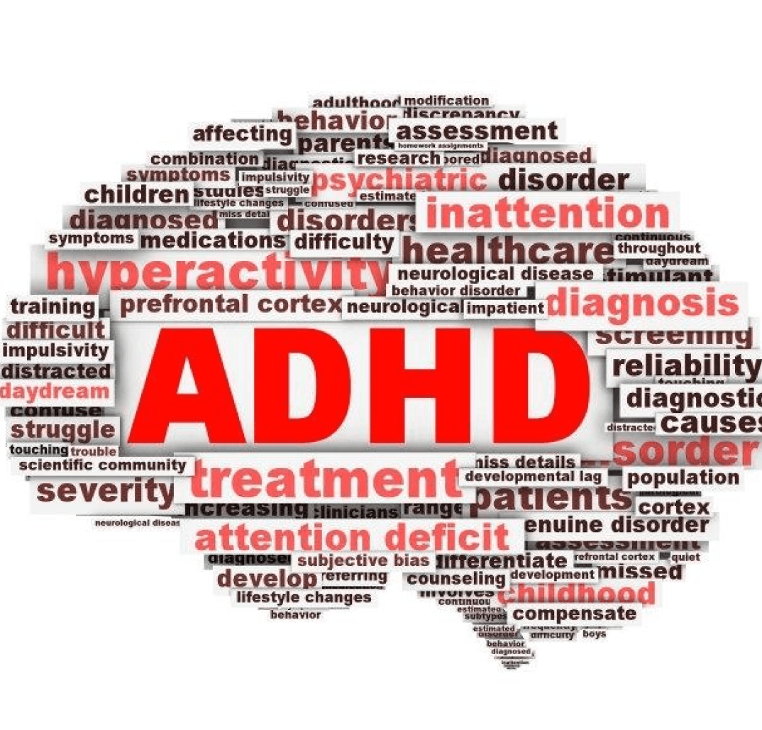 ADHD Brain